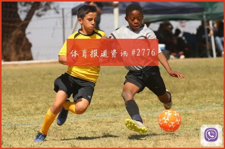 罗查2026世界杯助攻数据预测