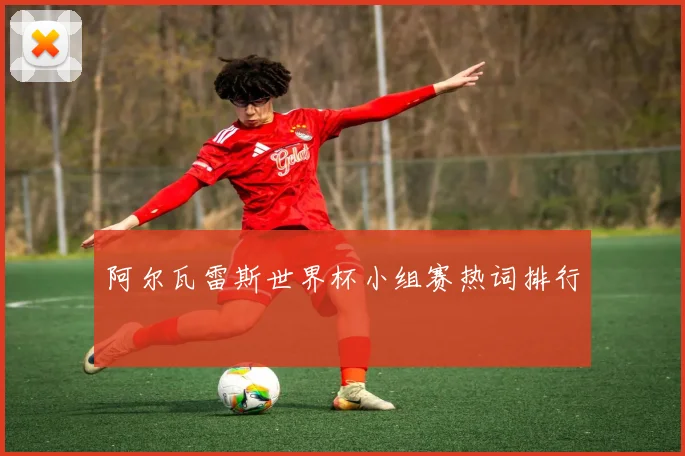 阿尔瓦雷斯世界杯小组赛热词排行
