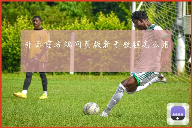 开云官方端网页版新手教程怎么用